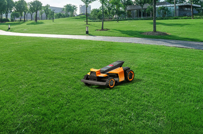 Terranox Mower CM120M1